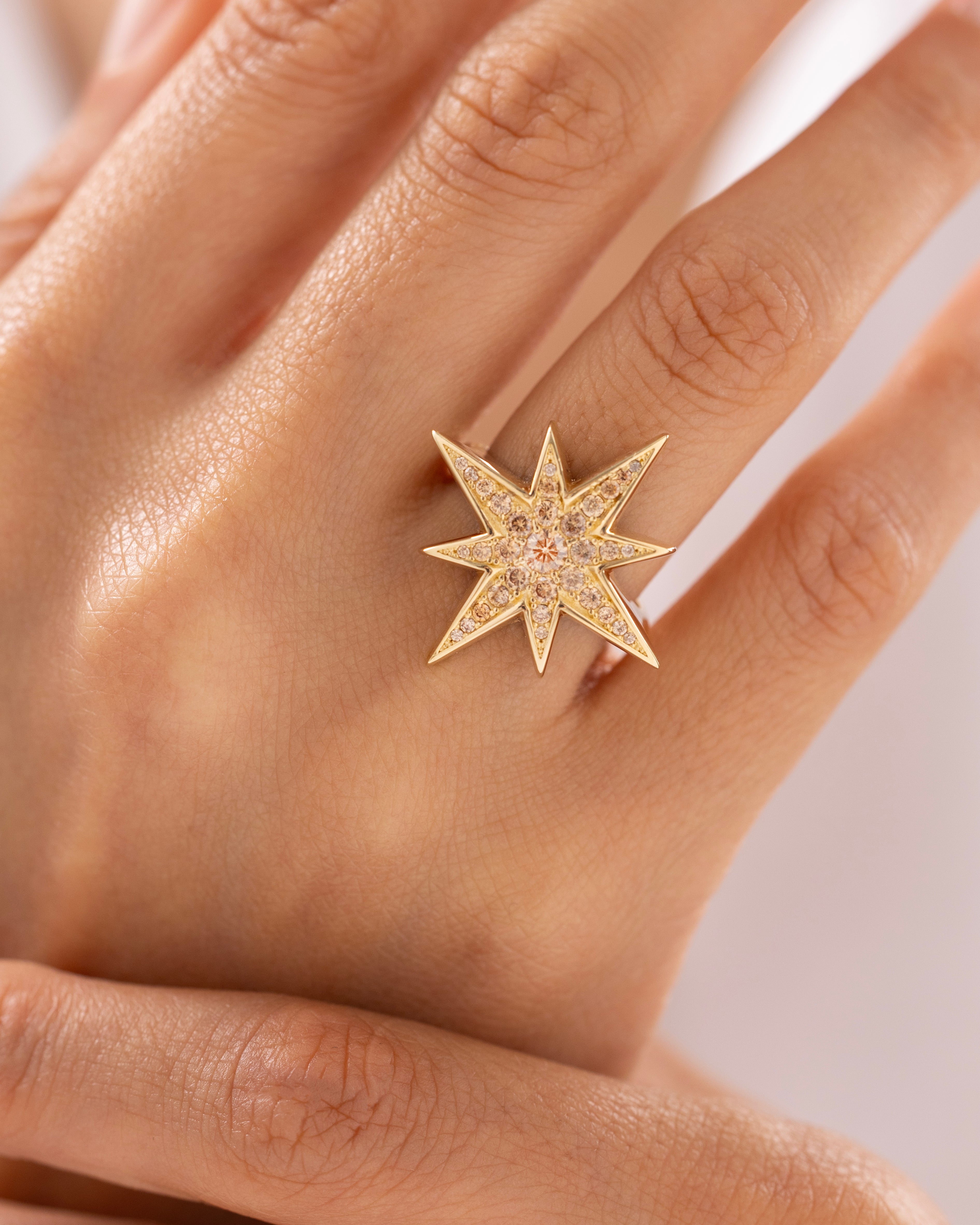 Cetaş Eterna Kutup Yıldızı Figürlü 14 Ayar Altın Yüzük