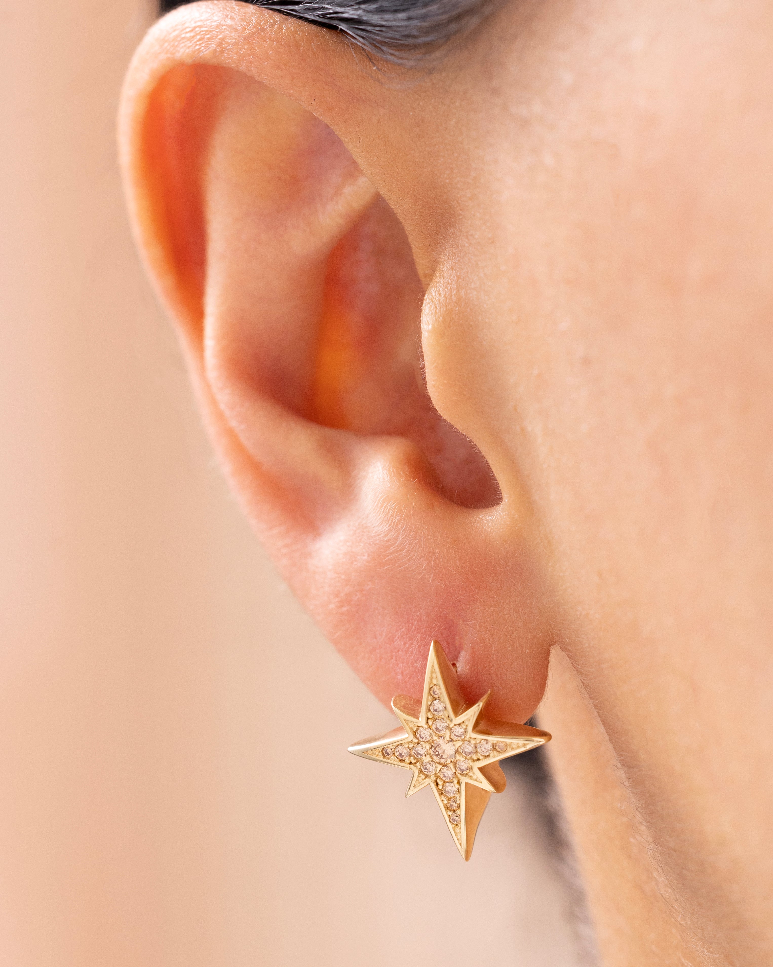 Cetaş Eterna Kuzey Yıldızı 14 Ayar Altın Küpe