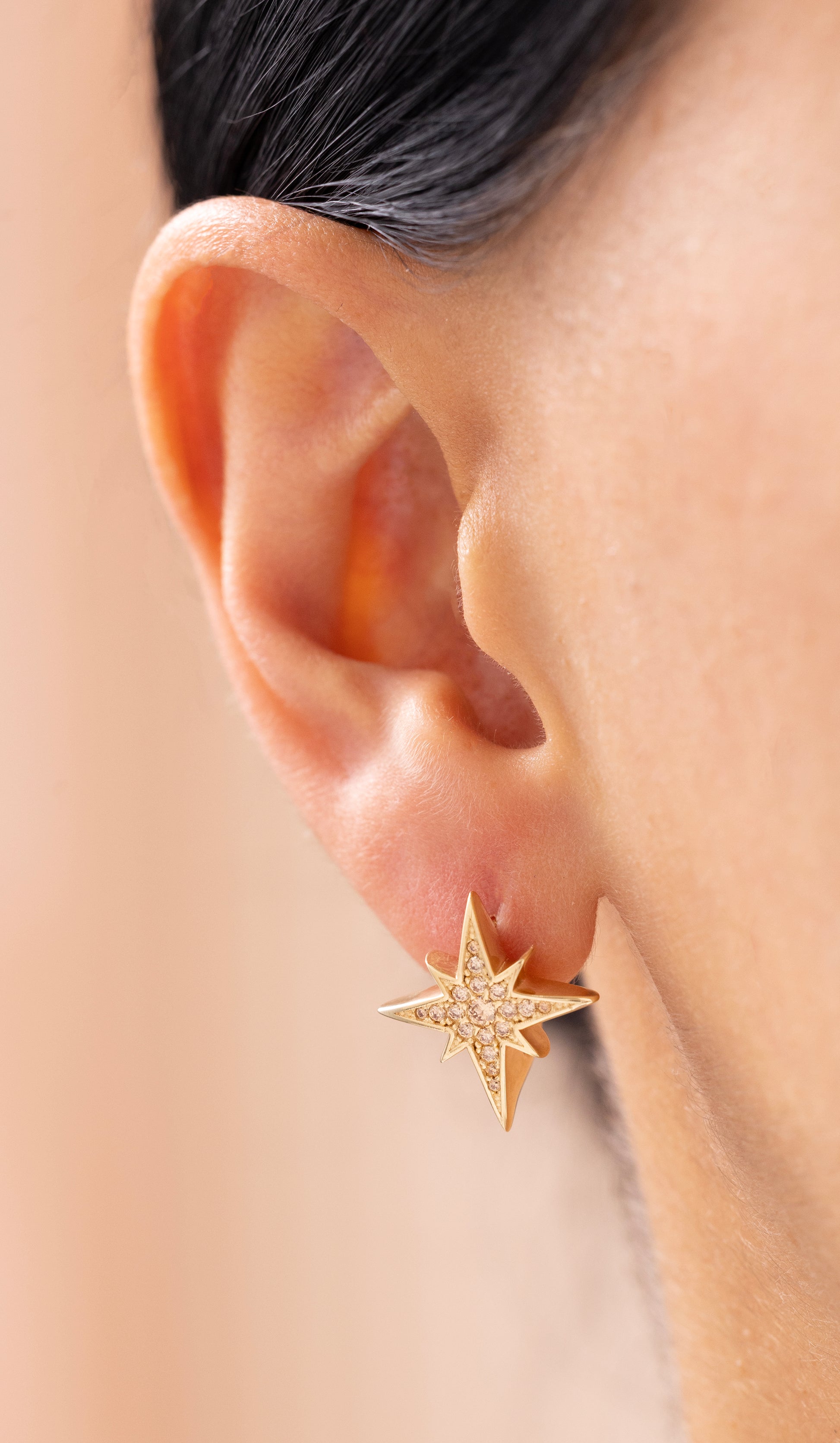 Cetaş Eterna Kuzey Yıldızı 14 Ayar Altın Küpe